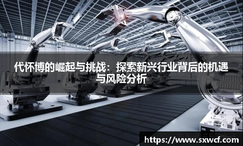 代怀博的崛起与挑战：探索新兴行业背后的机遇与风险分析